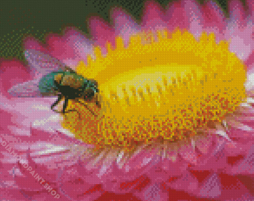 Fly On The Flowers Diamond Paintings