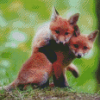 Fox Cubs Diamond Paintings