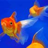 Gold Fish Diamond Paintings