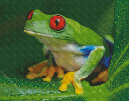 Grenouille Animal Diamond Paintings