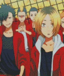 Haikyuu Nekoma X Karasuno Diamond Paintings