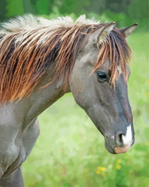 Indian Pony Horse Diamond Paintings