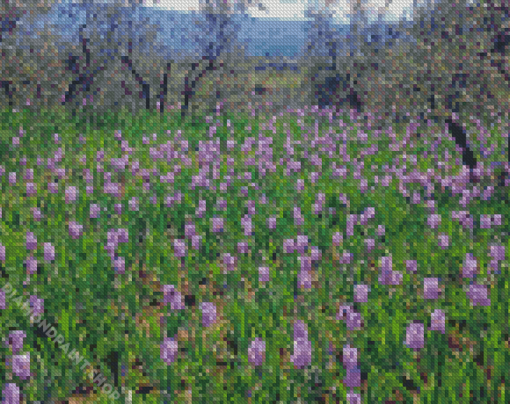 Iris Field Diamond Paintings