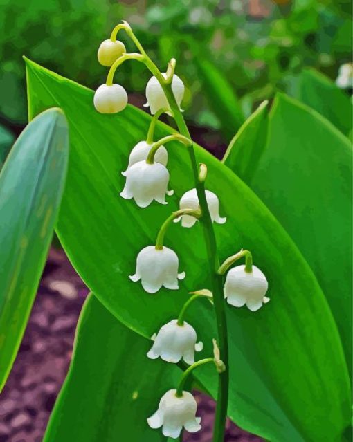 Lilly Of The Valle Diamond Paintings