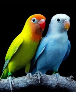 Wonderful Lovebirds Diamond Paintings