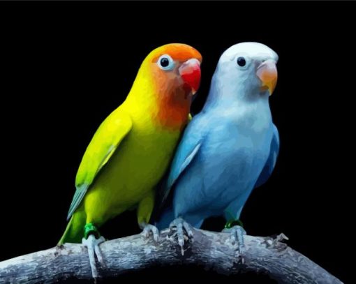 Wonderful Lovebirds Diamond Paintings