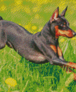 Miniature Pinscher Diamond Paintings