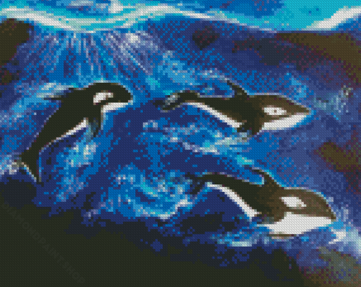 Orcas Art Diamond Paintings