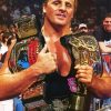 WWE Owen Hart Wrestler Diamond Paintings