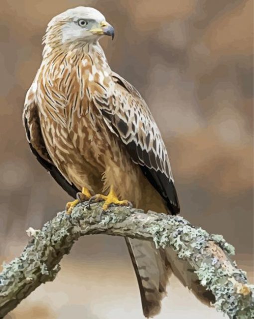 Red Kite On A Branche Diamond Paintings