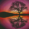 Tree Reflection Silhouette Diamond Paintings