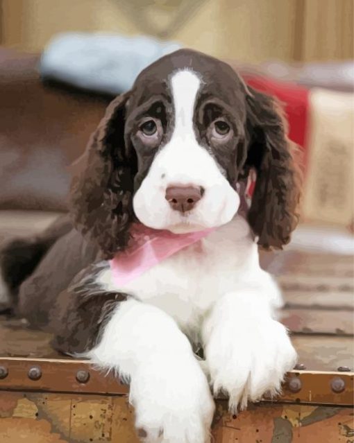 Springer Spaniel Diamond Paintings