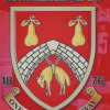 Stourbridge Fc Logo Diamond Paintings