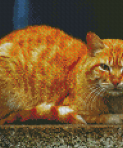 Yellow Cat Diamond Painting