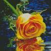 Yellow Rose Flower In Water Diamond Paintings