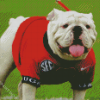 Adorable Georgia Bulldog Diamond Paintings