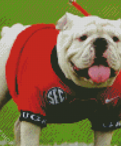 Adorable Georgia Bulldog Diamond Paintings