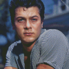 Aesthetic Tony Curtis Diamond Paintings