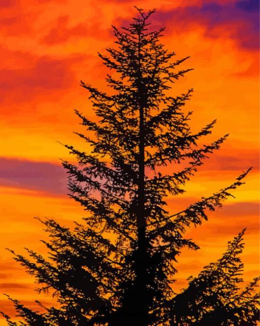 Balsam Fir Tree Silhouette Diamond Paintings