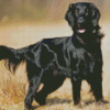 Black Flat Coated Retriever Diamond Paintings