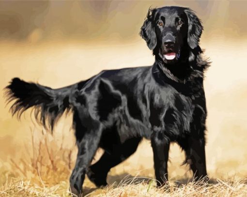 Black Flat Coated Retriever Diamond Paintings