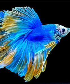 Blue Siamese Fighting Fish Diamond Paintings