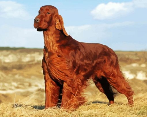 Brown Irish Setter Diamond Paintings