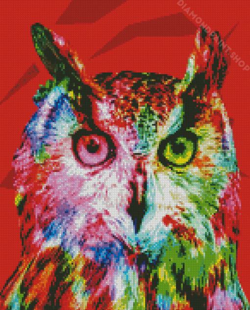 Colorful Abstract Owl Art Diamond Paintings