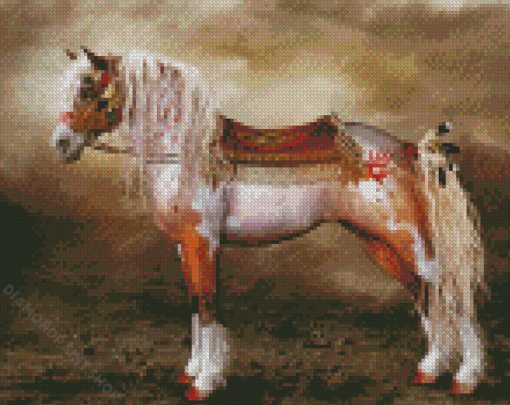 Cool Native American Horse Diamond Paintings