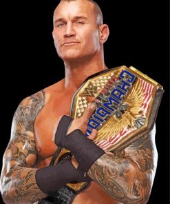 Handsome Randy Orton Diamond Paintings