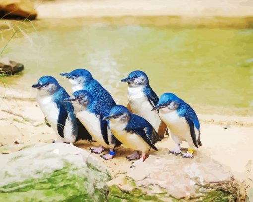 Fairy Penguins Diamond Paintings