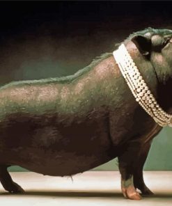 Funny Black Pig Diamond Paintings