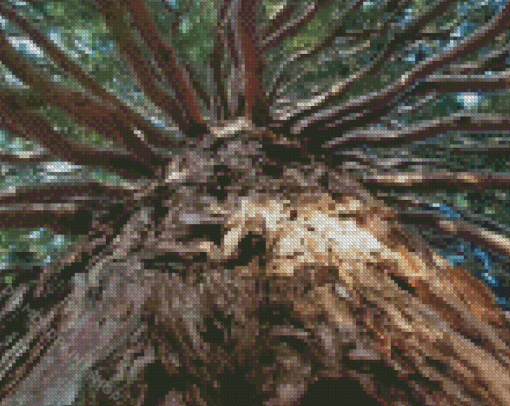 Giant Sequoia Tree Diamond Paintings