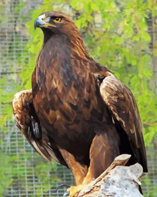 Golden Eagle Diamond Paintings