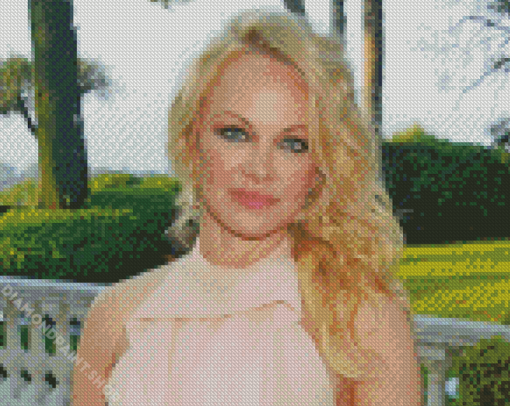 Gorgeous Actress Pamela Anderson Diamond Paintings