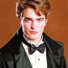 Cedric Diggory Diamond Paintings