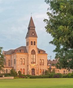 Kansas State University Diamond Paintings