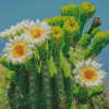 Saguaro Cactus Flower Diamond Paintings