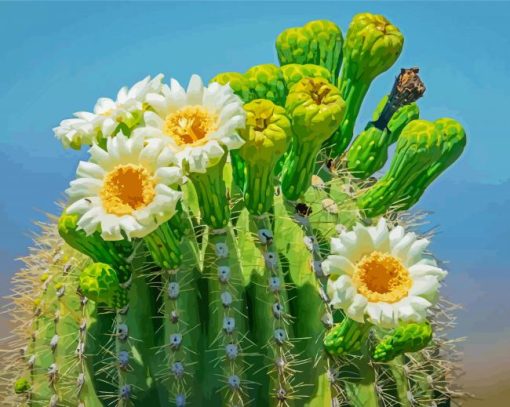 Saguaro Cactus Flower Diamond Paintings