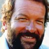 Bud Spencer Diamond Paintings