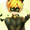 Adrien Agreste Character Diamond Paintings