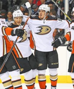 Anaheim Ducks Nhl Diamond Paintings