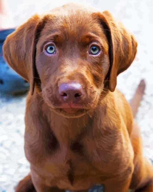 Baby Chocolate Lab Puppy Diamond Paintings