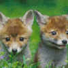 Baby Foxes Diamond Paintings