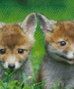 Baby Foxes Diamond Paintings