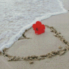 Beach Heart And Flower Diamond Paintings