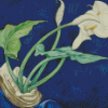 Calla Lilies Bert Savoy By Charles Diamond Paintings