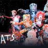 Cats The Musical Characters Diamond Paintings