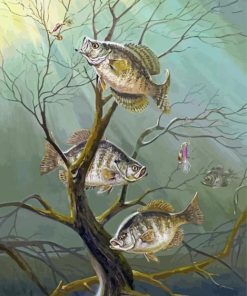 Crappie Fishes Diamond Paintings