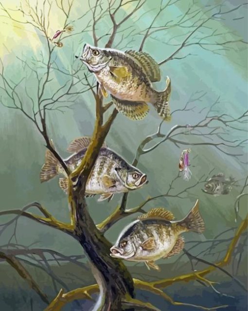 Crappie Fishes Diamond Paintings